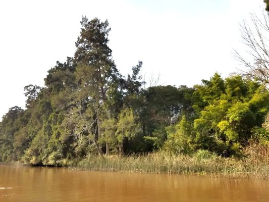 Venta Terreno Delta Río Paraná Permuta