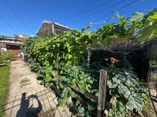 House For Sale/ 2-bedroom/Garages/Garden/San Fernando
