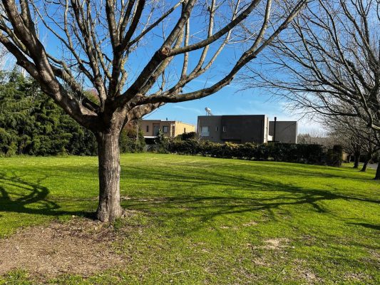 Sale of Lot San Isidro Labrador