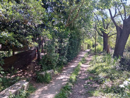 Land in Delta Tigre - 5000 square meters