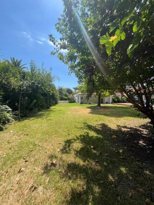 Lot for Sale Bello Horizonte