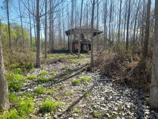 Sale of 18-hectare land, 2nd Section, San Fernando