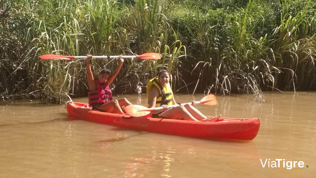 Paseos en kayak por el arroyo
